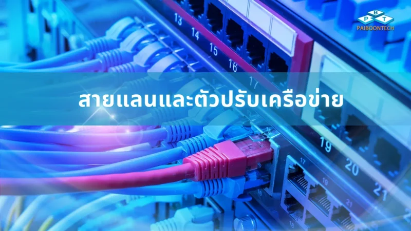 สายแลนและตัวปรับเครือข่าย 1 สายแลนและตัวปรับเครือข่าย (2048 x 1154 px)