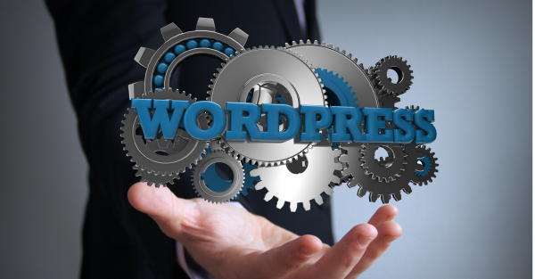 สงคราม WordPress.org และ WP Engine ประจำปี 2024 5 จุดยืนของ WordPress และ WP Engine